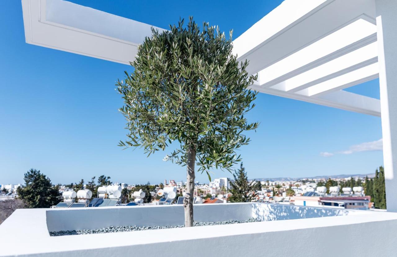 Regency Boutique Hotel Holiday Suites Paphos Kültér fotó